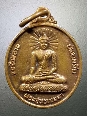 เหรียญรูปไข่เล็ก พระพุทธเมตตา วัดทุ่งตาอิน จังหวัดจันทบุรี สร้างปี 2554