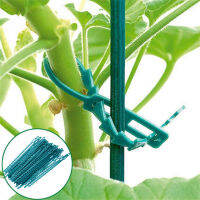 50Pcs ปรับพลาสติก Plan Grafting คลิป Fastener Plant Vines ผัก Tendril คลิปมะเขือเทศผัก Fixed Clamps