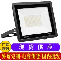 Led Flood Light Outdoor Lawn Courtyard Spotlight Projection Advertising Light Outdoor Waterproof Flood Light 100W High Power-CHN