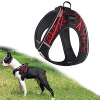 ✶ஐ Dog Harnesses Harnesses Chihuahua