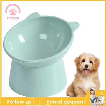 Raised Cat Bowls for Food and Water Ceramic Elevated Pet Dishes Bowls with  Metal Stand Protect Pet's Spine - China Bowl Pets and Pet Bowls for Cats  and Dogs price