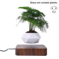 Levitating Air กระถางบอนไซหมุนกระถางดอกไม้ Planters Levitation แม่เหล็ก Suspension หม้อลอย Potted Plant หน้าแรก