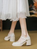 French Mary Jane shoes female thick with the new spring 2023 a skirt gentle breeze high documentary shoes small leather shoes