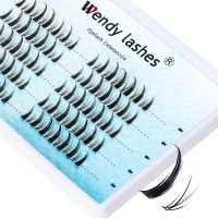 Cluster Eyelash Extension 3D Effect Clusters Volume Lashes Natural 5 Rows Individual Lash Bundles Dovetail Diy Wendy Lashes