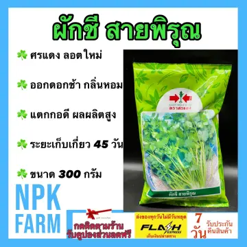 เมล็ดพันธุ์ผักกินดิบ ราคาถูก ซื้อออนไลน์ที่ - ก.ค. 2023 | Lazada.co.th เมล็ดพันธุ์ผักกินดิบ ราคาถูก ซื้อออนไลน์ที่ - ก.ค. 2023 | Lazada.Co.Th