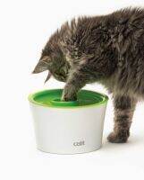 Catit Multi Feeder ที่ให้อาหารสัตว์เลี้ยง สำหรับการกินที่ช้าลง (Slow Feeding) 3IN1 ล้วง ควัก เก็บ กิน ครบในที่เดียว