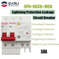 50A 2P SPD Residual Current Circuit Breaker With Overload Overvoltage RCBO RCCB With Lightning Protection MCB Leakage Protector Electrical Circuitry P