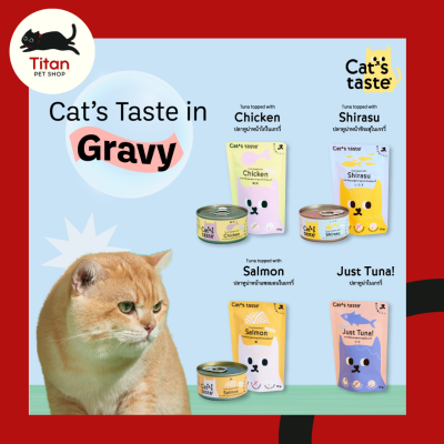 (Titan Pet Shop) cats taste  (แคทเทสต์) อาหารเปียกเเมว ในน้ำเกรวี่