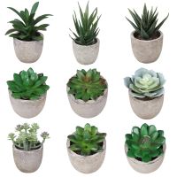 Artificial Green Succulent Plants Fake Artificial Bonsai With Pots Decorative Mini Aloe Plants for Office Desktop Home Decor