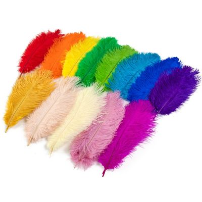 10PCS Colored Feathers 15-60cm for Crafts Wedding Table Fluffy Plumas Accessories Bulk