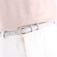 【CW】 2022 New Leather Belts Korean Fashion Waist Accessories Straps Gold Pin Buckle