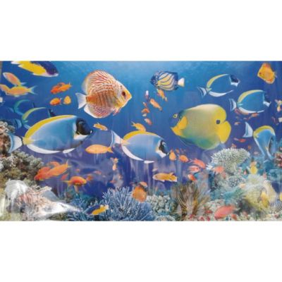 ( Promotion+++) คุ้มที่สุด โปสเตอร์ ปลาใต้ทะเล ปะการัง ดอกไม้ทะเล 100x150cm ภาพโปสเตอร์ ภาพแต่งห้อง แต่งห้อง ภาพมงคล ฮวงจุ้ย อุปกรณ์ตกแต่งผนัง ราคาดี วอลเปเปอร์ วอลเปเปอร์ ติด ผนัง วอลเปเปอร์ สวย ๆ วอลเปเปอร์ 3d