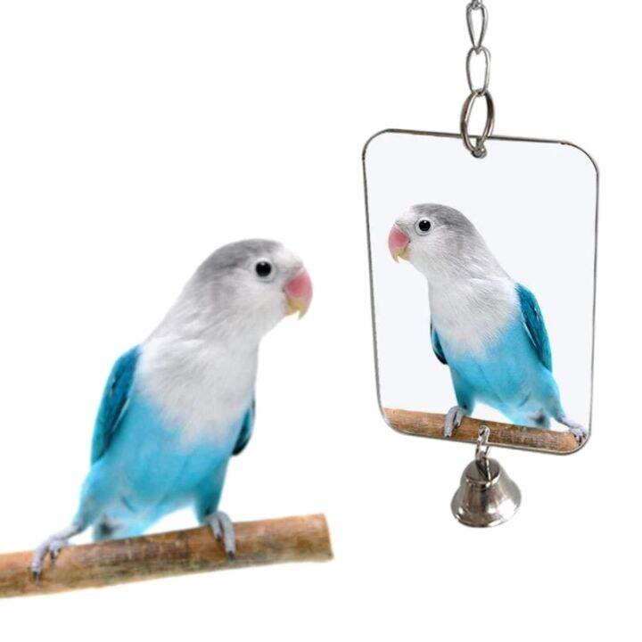 สัตว์เลี้ยงนกกระจกกับเบลล์อินเตอร์แอคทีนกแก้วของเล่นสำหรับ-budgies-นกแก้ว-c-ockatiels-conures-lovebirds-กรงสำหรับเล่นของเล่น