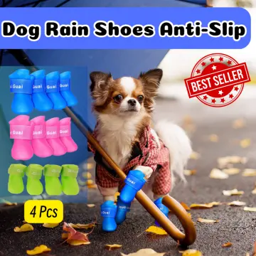 Dog shoes hot sale lazada