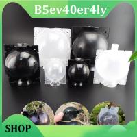 B5ev40er4ly Shop 5pcs Plant Root Growing Box High Pressure Gardening Plant Root Ball Breeding Case for Garden Grafting Rooting Box