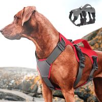 No Pull Small Medium Large Big Dog Harness Vest Nylon Adjustable Reflective Waterproof Pet Walking Training Harness With Handle Collars