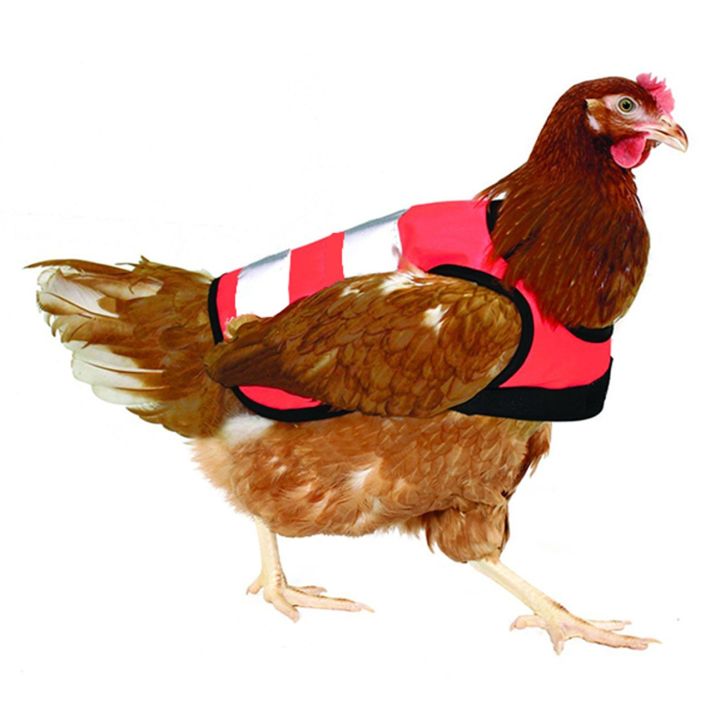 เสื้อกั๊กนิรภัยไก่-เสื้อกั๊กสะท้อนแสงปรับได้สำหรับไก่เป็ดห่าน