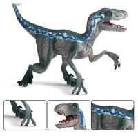 ♝N747e8?Olove Jurassic Blue Raptor ไดโนเสาร์ตุ๊กตาเวโลซิแรปเตอร์ E8E3โมเดลการเรียนรู้