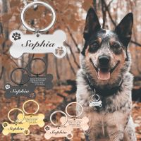 Customizable Dog Collar Address Tags for Dogs Medal with Engraving Name Kitten Puppy Accessories Personalized Cat Necklace Chain