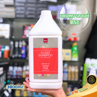 แชมพู bsc แบบแกลอน 3800ml.