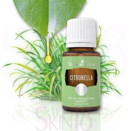 15ml CITRONELLA essential oil by Young Living Lazada PH