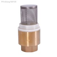 1/2 3/4 1 1-1/4 1-1/2 2 2-1/2 3 BSP Female Brass Check Valve Non-return With Steel Strainer Filter For Water Plumbing