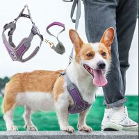 Pet Harness Traction Rope Suit Cationic Vest Type Reflective Chest Strap Nylon Breathable Heat Dissipation Chest And Back