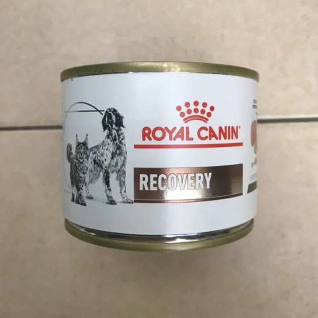 Arthur Conan Doyle Heerlijk Accor ROYAL CANIN VETERINARY DIET RECOVERY 195G (3cans) DOG & CAT WET FOOD  Appetite stimulant, Anorexia, Syringe/tube feeding, recovering from surgery  | Lazada PH