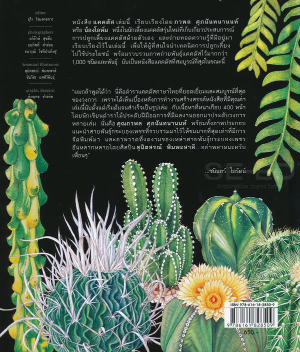 หนังสือ-แคคตัส-cactus-ปกแข็ง