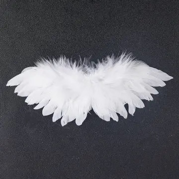 Shop Doll Angel Wings Online | Lazada.Com.Ph