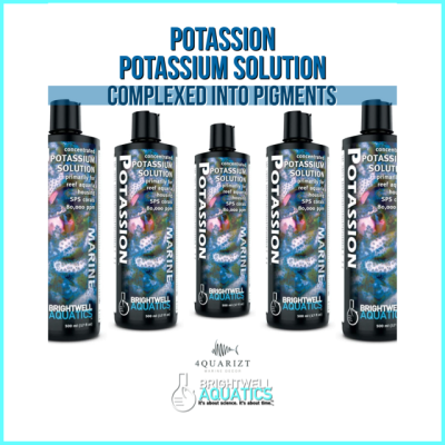 Potassion / Potassium Element / แร่ธาตุ โพแทสเซียม / Brightwell Aquatics