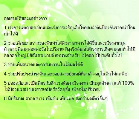 จุลินทรีย์มูลค้างคาว-ประสิทธิภาพสูง-คือสุดยอดจุลินทรีย์ที่พืชต้องการ-ขนาดบรรจุ-4-ลิตร-จัดส่งฟรี