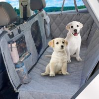 【LZ】 Dog Car Seat Cover Protector Waterproof with Storage Pockets Washable Dog Hammock for Cars Trucks and SUV Safety Carrier For Dog