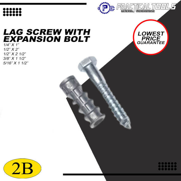 2B PREMIUM QUALITY LAG SCREW W/ EXPANSION BOLT PER PAIR | Lazada PH