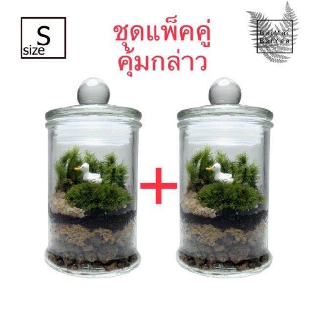 ชุดจัดสวนขวด-terrarium-โหลแก้ว-diy-1แถม1-size-s