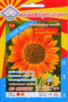 ทานตะวัน สีแดง Red Sunflower เมล็ดพันธุ์ตราสามเอ