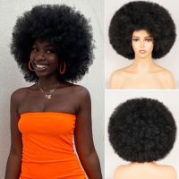 Black Blonde Afro Kinky Curly Wig Short Fluffy Hair With Bangs Deep Brown Wig For Woman Synthetic Party Cosplay Wigs Perruque Wig  Hair Extensions Pad