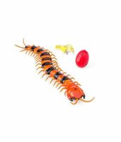 INNOVATION SCOLOPENDRA ตะขาบหุ่นยนต์ บังคับด้วยรีโมท NO.9901