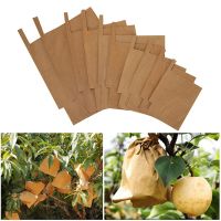 100Pcs Grape Protection Bags For Fruit Vegetable Grapes Pulp Paper Bag Against Insect Pouch Waterproof Pest Control -Bird Garden