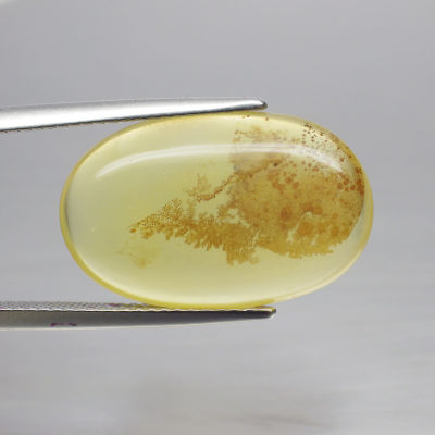 พลอย โอปอล ต้นไม้ ธรรมชาติ แท้ ( Unheated Natural Dendrite Dendritic Opal ) 9.82 กะรัต
