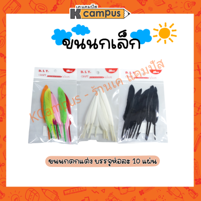 งานประดิษฐ์ งานตกแต่ง งานDIY ขนนกตกแต่ง สีขาว สีดำ และคละสี 10 แผ่น (ราคา/ห่อ)