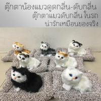 ส่งฟรี ตุ๊กตาดับกลิ่นในรถยนต์ น้องแมวดับกลิ่น  ตุ๊กตาแมวเหมียวเหมือนจริง น้องแมวมีถ่านดูดกลิ่นไม่พึงประสงค์ได้ ??