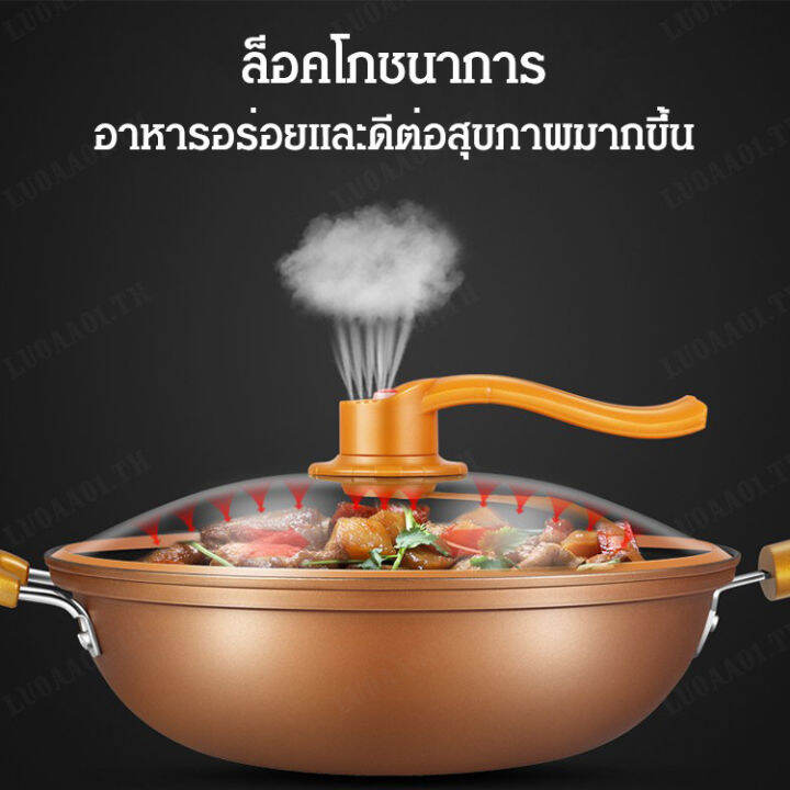 luoaa01-หม้ออบไอน้ำสำหรับอบเนื้อ