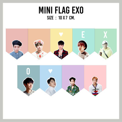 ธงจิ๋ว EXO mini flag EXO