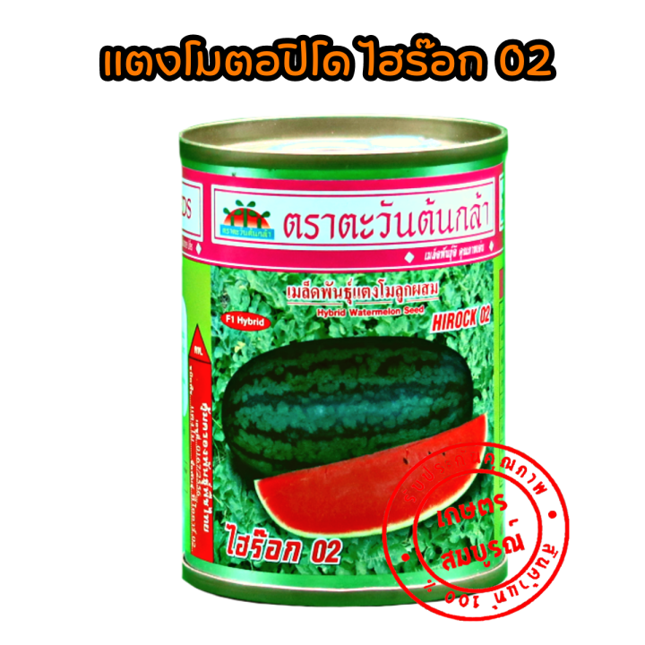 แตงโมตอปิโด-ไฮร๊อก-02-04-เมล็ดพันธุ์-40-ก-ตราตะวันต้นกล้า