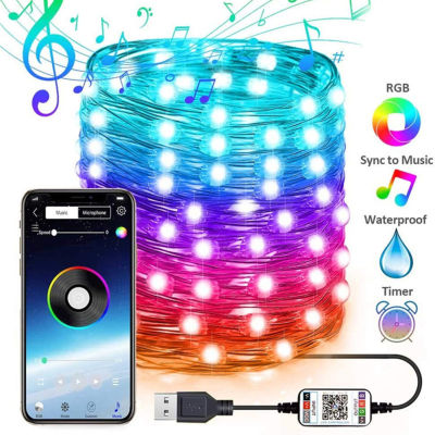 Wedding Home Indoor Decoration USB Bluetooth-compatible App Control LED String Fairy Lights Copper Wire Christmas Decor