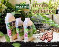 น้ำหมักมูลไส้เดือน(Worm Tea) ตรา Lucky Tree ขนาด1ลิตร ช่วยให้ลำต้นแข็งแรง สมบูรณ์ โตไว ติดดอก ติดผล ได้ดีเยี่ยม มีรับประกันจากทางร้าน