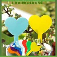 Garden Plant Succulent Bonsai Seedling Tags Heart Shaped Gardening LabelsTags Label Tanaman多肉植物标签