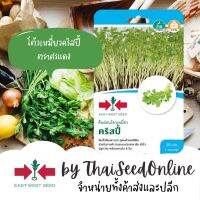 GGEW เมล็ดพันธุ์ ต้นอ่อนลันเตางอก โต้วเหมี่ยว คริสปี้ 50 เมล็ด ตราศรแดง Snap Pea Sprout Seeds