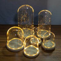 แก้วโดมฐานไม้ที่มีไฟ LED ภูมิทัศน์แจกันดอกไม้แห้ง Cloche ปก DIY พืชฉ่ำภาชนะที่ใส่ห้องนอนตกแต่ง